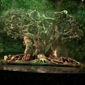 Meet your Posher, Kenneth